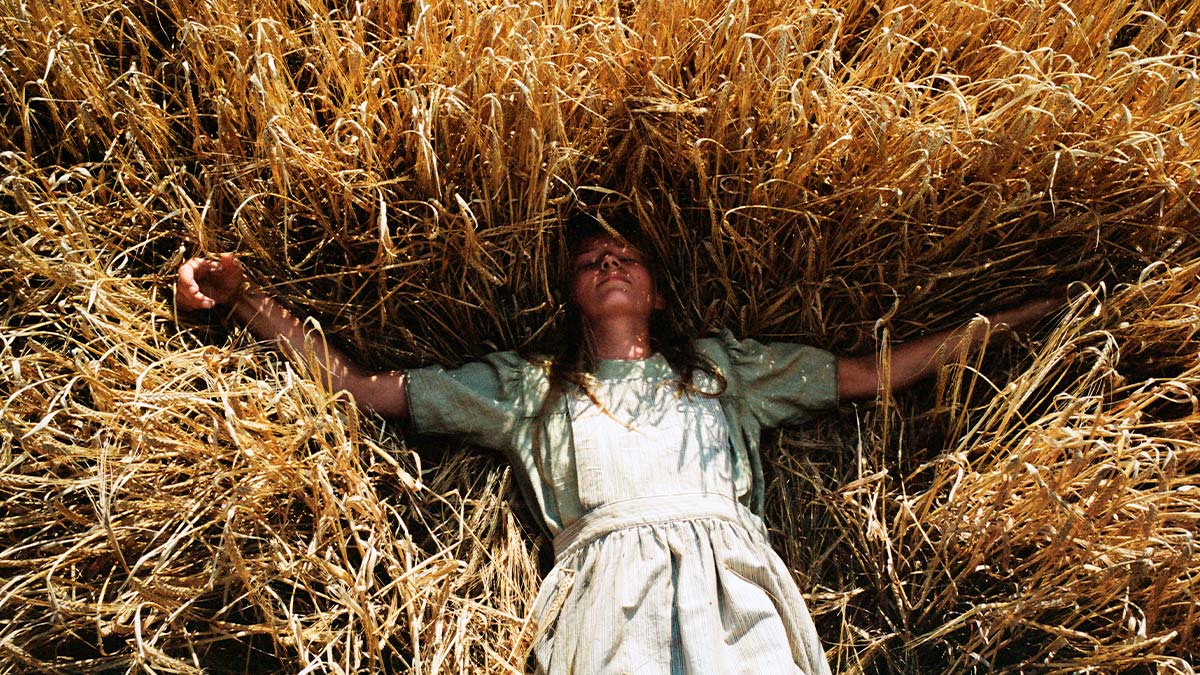 Primeras confirmaciones para la 69 edición del Festival de San Sebastián: Laurent Cantet, Lucile Hadzihalilovic o Claudia Llosa se disputarán la Concha de Oro